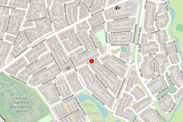 Brandweer-melding op Irisstraat, Baarn op 2 juni, kaart-overzicht