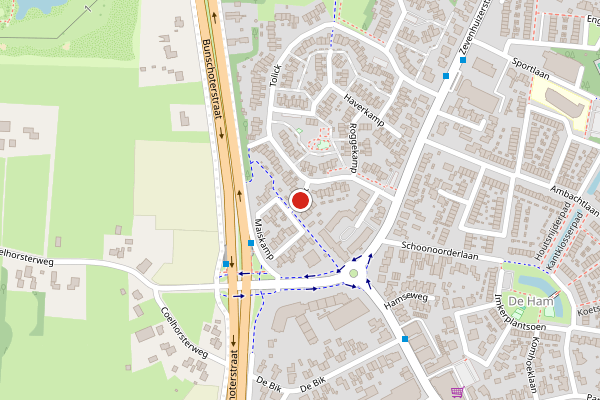 Brandweer-melding op Tolick, Hoogland op 20 juni, kaart-overzicht
